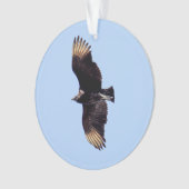 Black Vulture Ornament (voorkant)