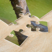 Black Vulture Wildlife Jigsaw Puzzle (Côté)