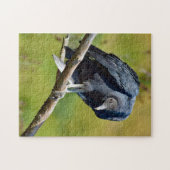 Black Vulture Wildlife Jigsaw Puzzle (Horizontal)