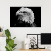 Black & White American Bald Eagl Poster (Thuiskantoor)