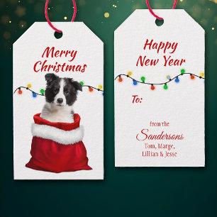 Black White Border Collie Puppy in Santa Bag Cadeaulabel