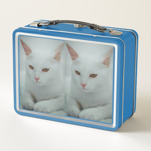 Black & White Cat Duo Metal Lunchbox (Achterkant)