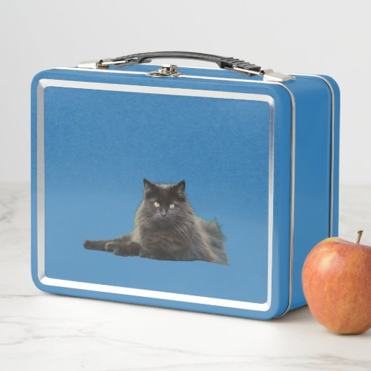 Black & White Cat Duo Metal Lunchbox (In situ)