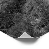 Black & White Country Road 20x16 Poster Imprimer (Coin)