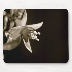 Black/White Fuschia Mousepad Muismat