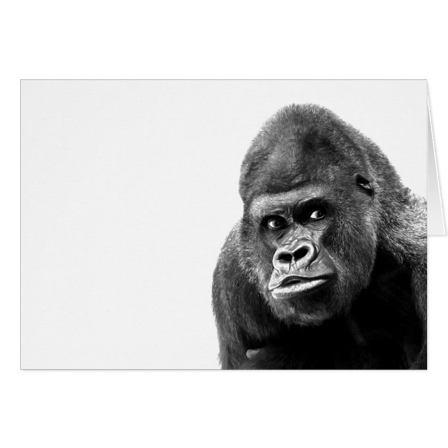 Black White Gorilla (Voorkant Horizontaal)