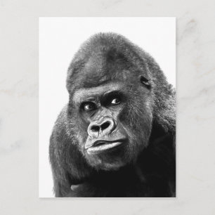 Black White Gorilla Briefkaart