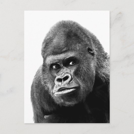 Black White Gorilla Briefkaart (Voorkant)