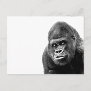 Black White Gorilla Briefkaart