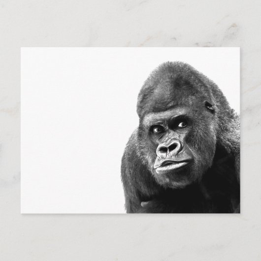 Black White Gorilla Briefkaart (Voorkant)