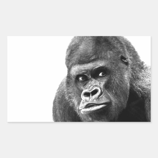 Black White Gorilla Rechthoekige Sticker (Voorkant)