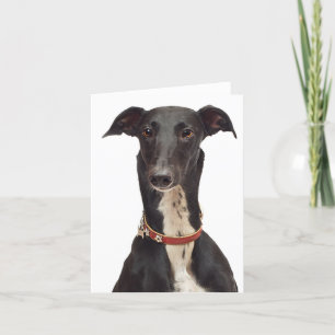 Black & White Greyhound Puppy Dog Blank Note Kaart