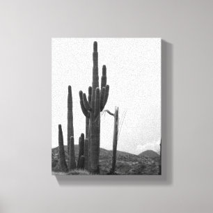 Black & White Group of Saguaro Cactus on Hill 8x10 Canvas Afdruk