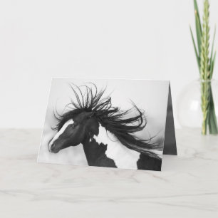Black & White Hengst Wild Horse Wenskaart Kaart