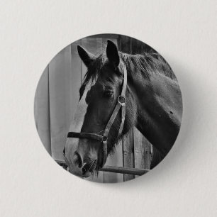Black White Horse - Animal Photography Art Ronde Button 5,7 Cm