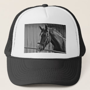 Black White Horse - Animal Photography Art Trucker Pet