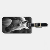 Black White Horse Bagagelabel (Voorkant horizontaal)