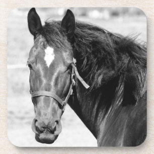 Black White Horse Drankjes Onderzetter