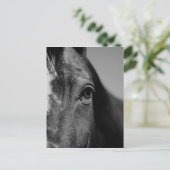 Black White Horse Eye Artwork Briefkaart (Staand voorkant)