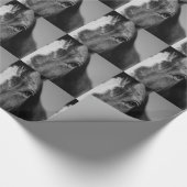 Black White Horse Eye Artwork Cadeaupapier (Hoek)