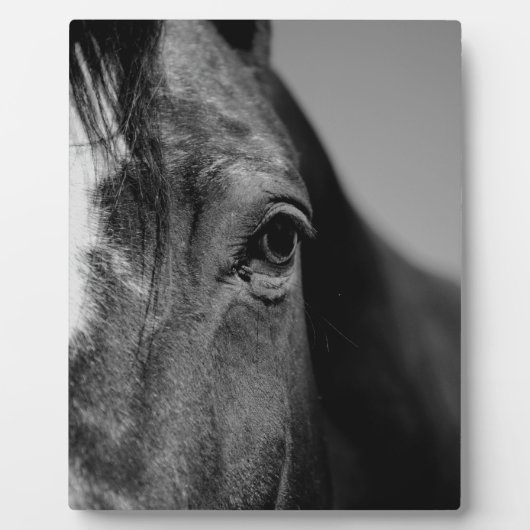 Black White Horse Eye Artwork Fotoplaat (Voorkant)