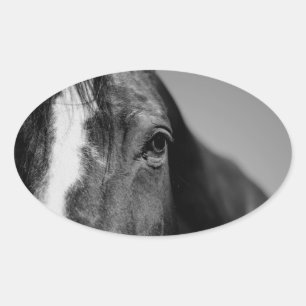 Black White Horse Eye Artwork Ovale Sticker