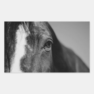 Black White Horse Eye Artwork Rechthoekige Sticker