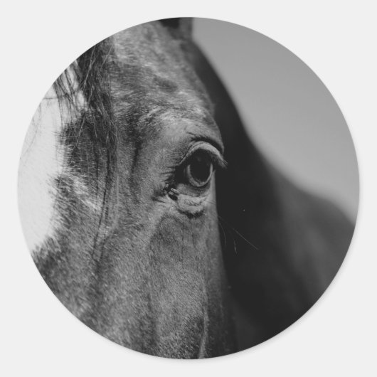 Black White Horse Eye Artwork Ronde Sticker (Voorkant)