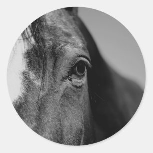 Black White Horse Eye Artwork Ronde Sticker