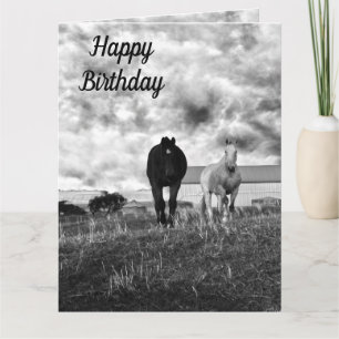 Black White Horse Greeting, Birthday Card Kaart