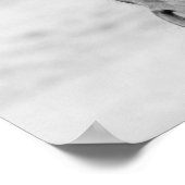 Black White Horse Poster (Hoek)