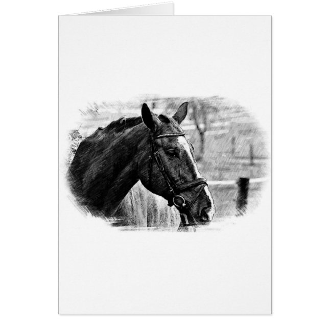 Black White Horse Sketch (Voorkant)