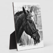 Black White Horse Sketch Fotoplaat (Zijkant)