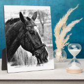 Black White Horse Sketch Fotoplaat (Zijkant)