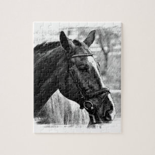 Black White Horse Sketch Legpuzzel