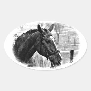 Black White Horse Sketch Ovale Sticker