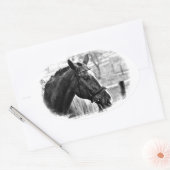 Black White Horse Sketch Ovale Sticker (Envelop)