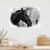 Black White Horse Sketch Poster (Keuken)