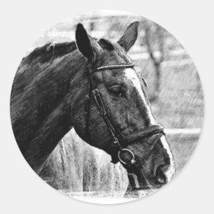 Black White Horse Sketch Ronde Sticker