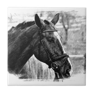 Black White Horse Sketch Tegeltje