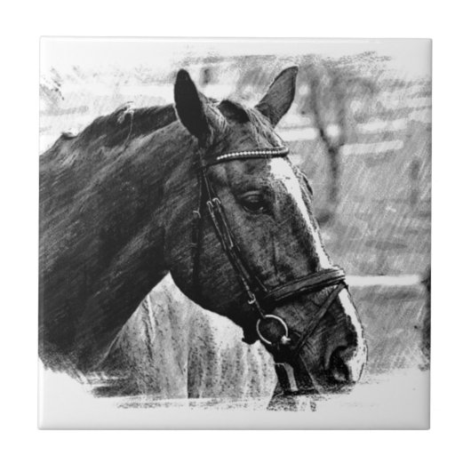 Black White Horse Sketch Tegeltje (Voorkant)