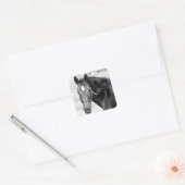 Black White Horse Vierkante Sticker (Envelop)