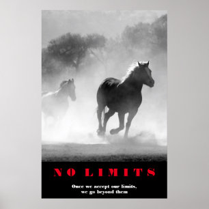 Black White Horses Motivatie zonder grenzen Artwor Poster