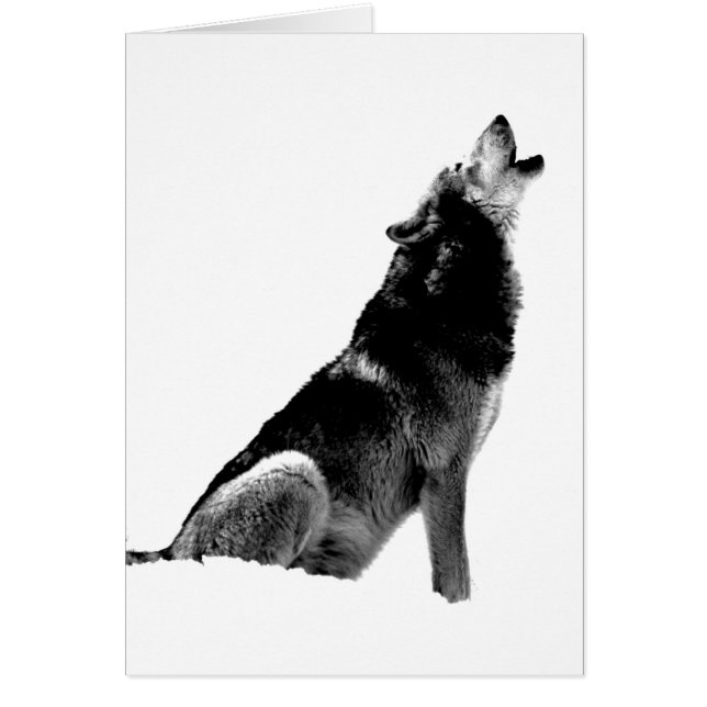 Black White Howling Wolf (Voorkant)
