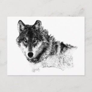 Black White Inspirerend Wolf Eyes Briefkaart