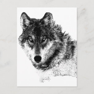 Black White Inspirerend Wolf Eyes Briefkaart