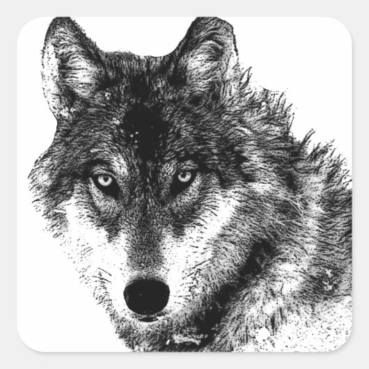 Black White Inspirerend Wolf Eyes Vierkante Sticker (Voorkant)