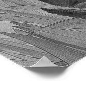 Black White Iris Flowers Poster d'art original (Coin)