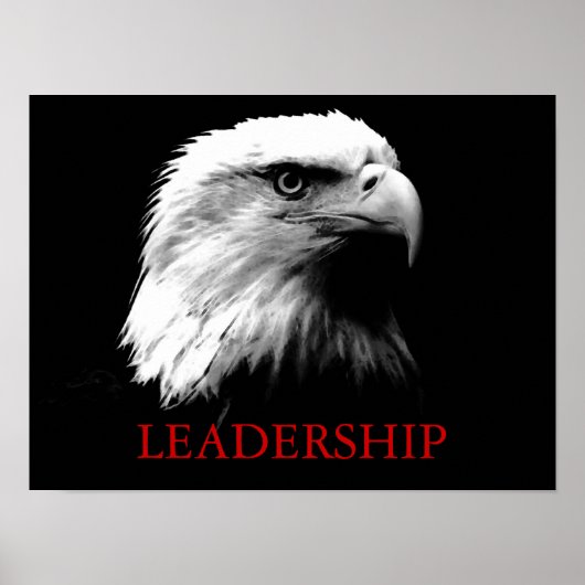 Black White Leadership Eagle Eyes Poster (Voorkant)