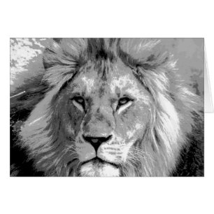 Black White Lion